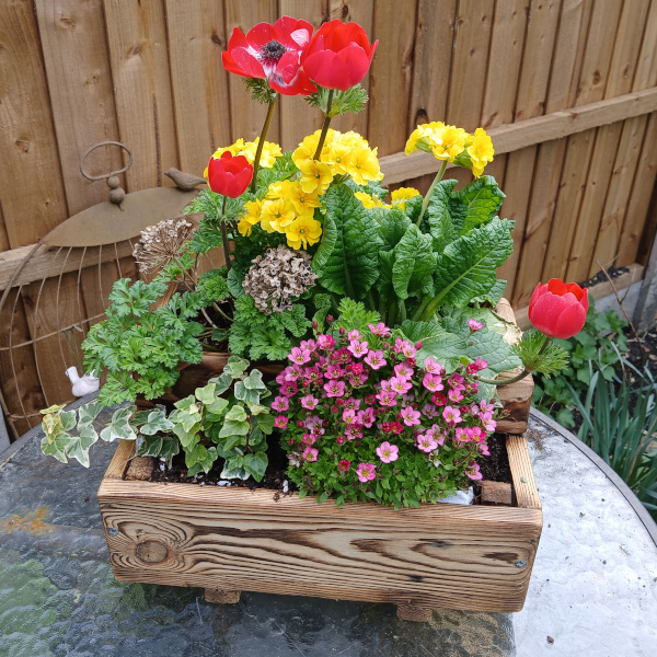 mothers-day-planter-600x600